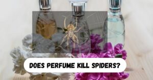 Does Perfume Kill Spiders