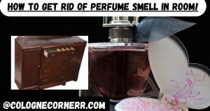 How To Get Rid of Perfume Smell in Room