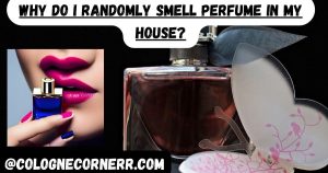 Why Do I Randomly Smell Perfume in My House