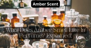 what does amber smell like in perfume